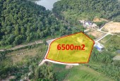 CẦN BÁN NHANH KHUÔN VIÊN 6500M2 TẠI NAM SƠN, SÓC SON. LÔ GÓC, ĐƯỜNG RỘNG, GẦN NHIỀU KHU NGHỈ DƯỠNG SINH THÁI. GIÁ 19,5 TỶ.